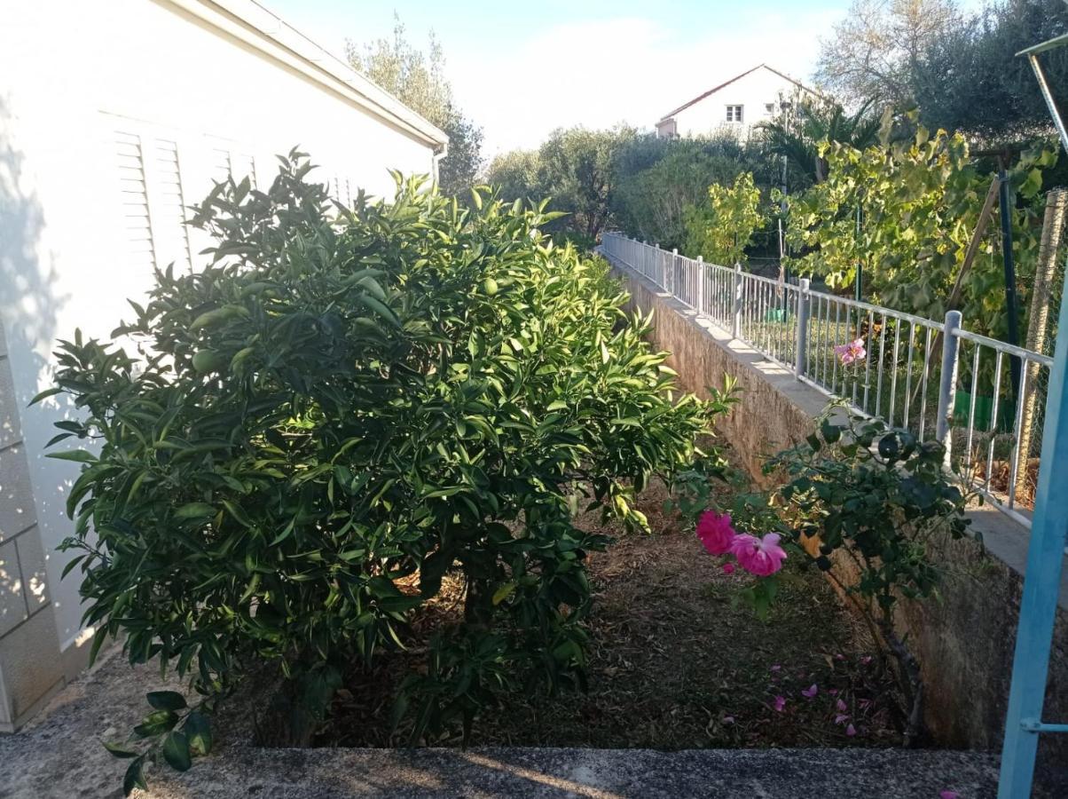 My Mediterranean Villa With Huge Garden And Own Parking ลุมบาร์ดา ภายนอก รูปภาพ